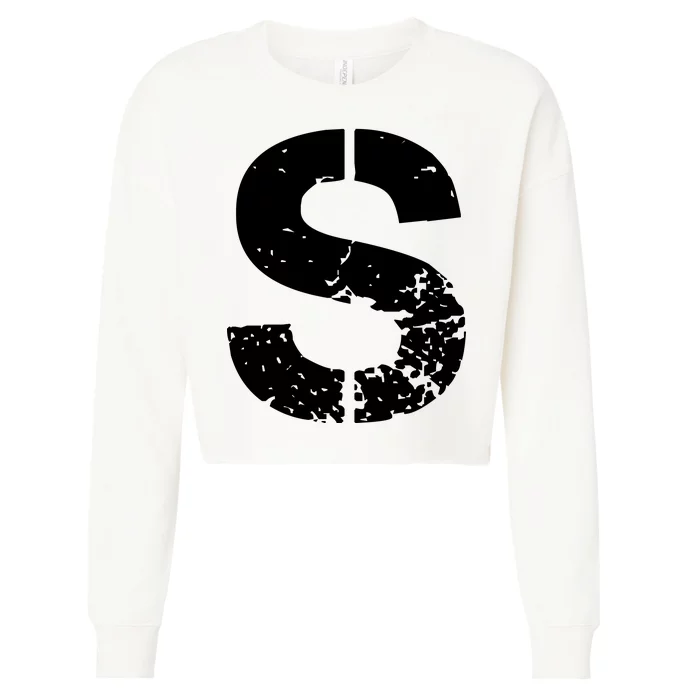 Salt Costume Cropped Pullover Crew