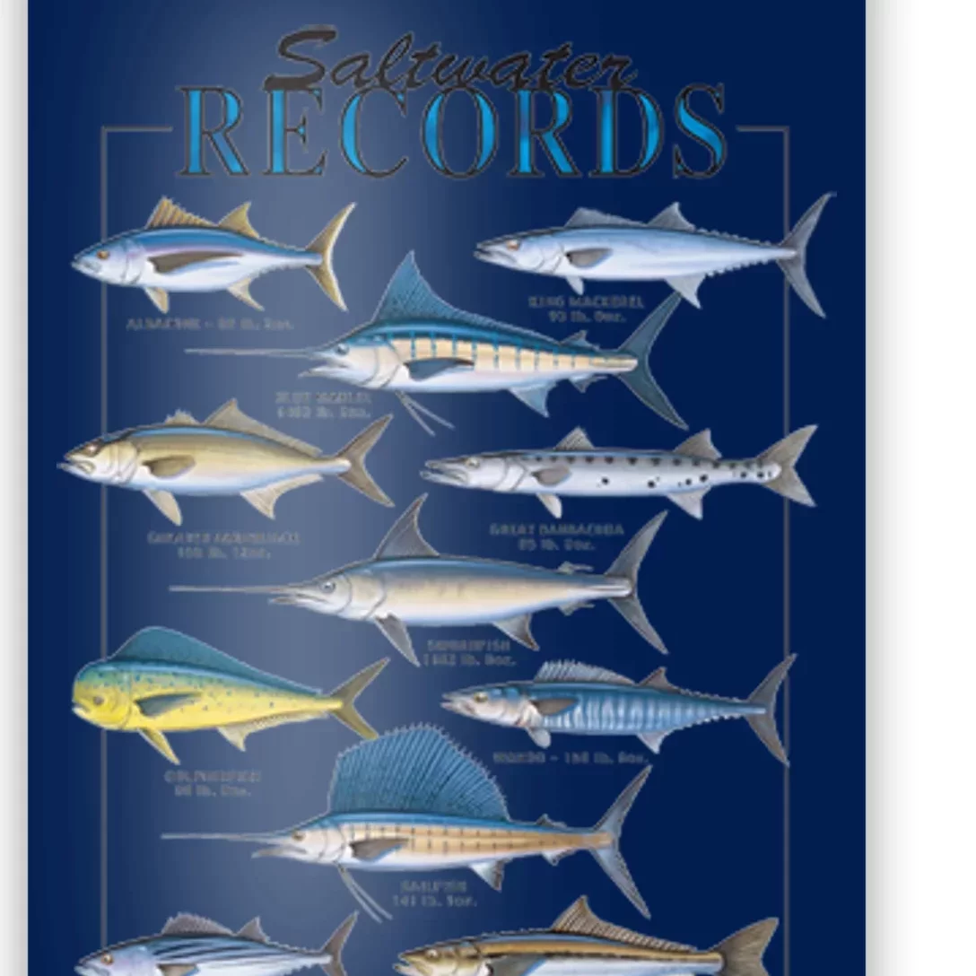 Saltwater Records Fish Of The Atlantic & Gulf Coast sailfish Poster