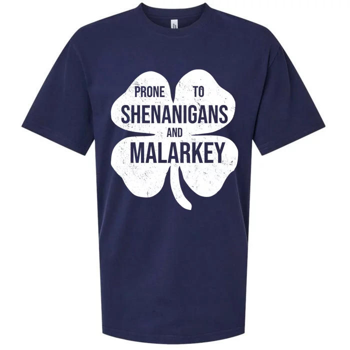 Shenanigans And Malarkey Funny St Patrick's Day Sueded Cloud Jersey T-Shirt