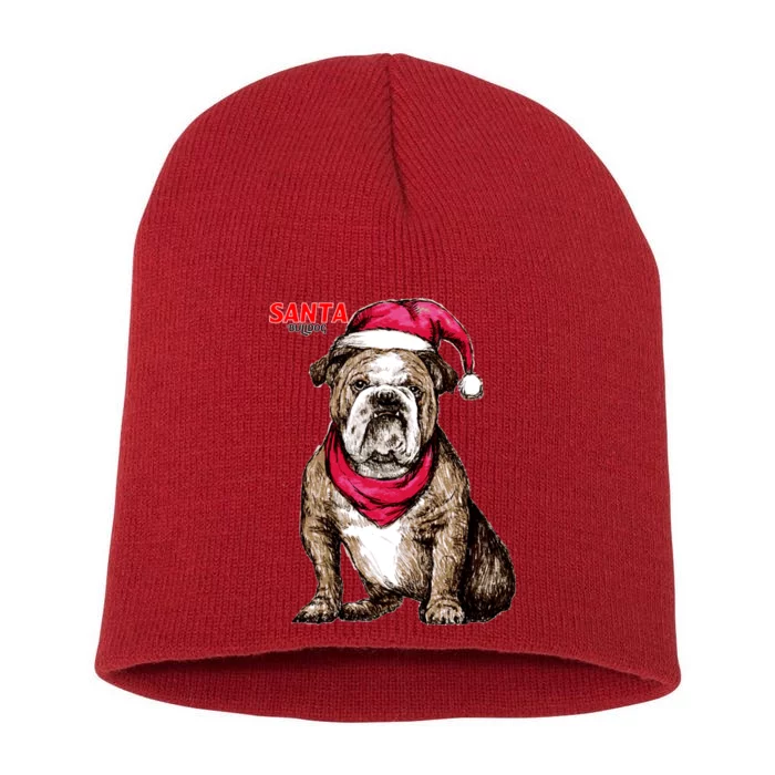 Santa Bulldog Christmas Hat Short Acrylic Beanie