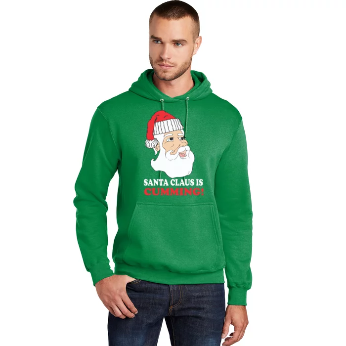 Santa Claus Is Cumming Dirty Humor Hoodie