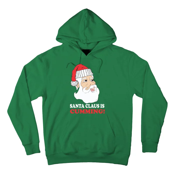 Santa Claus Is Cumming Dirty Humor Hoodie