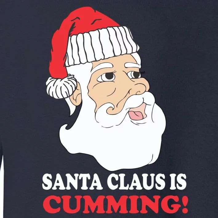 Santa Claus Is Cumming Dirty Humor Toddler Sweatshirt