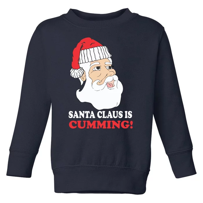 Santa Claus Is Cumming Dirty Humor Toddler Sweatshirt