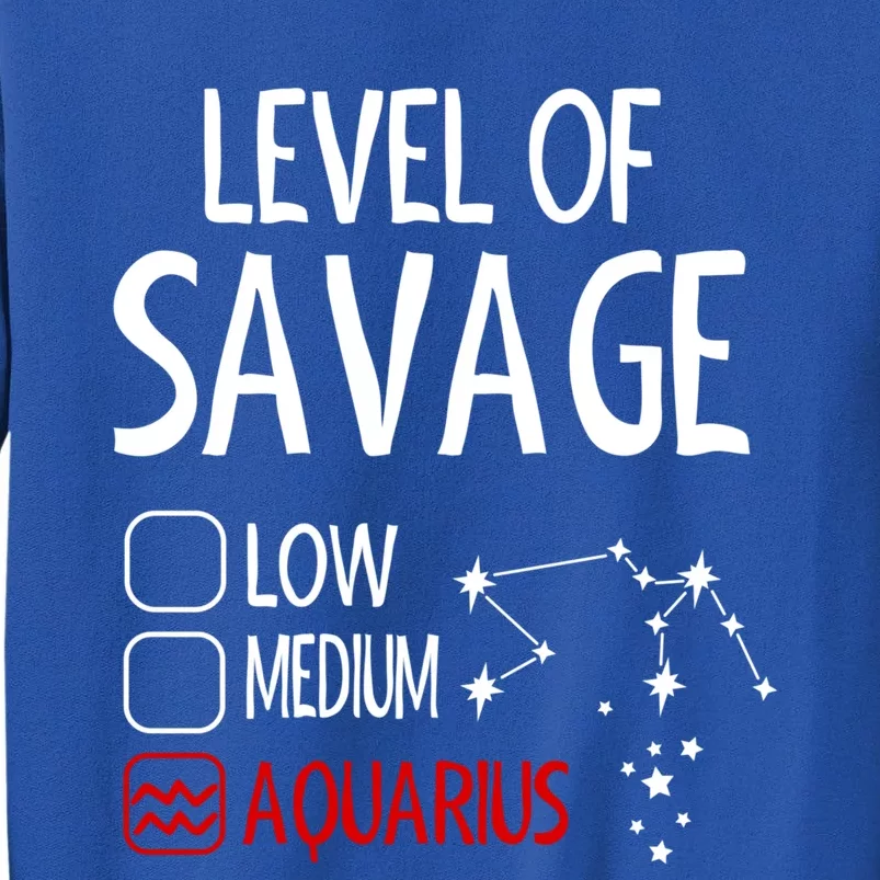 Savage Aquarius Queen Zodiac Birthday Print Cute Gift Tall Sweatshirt