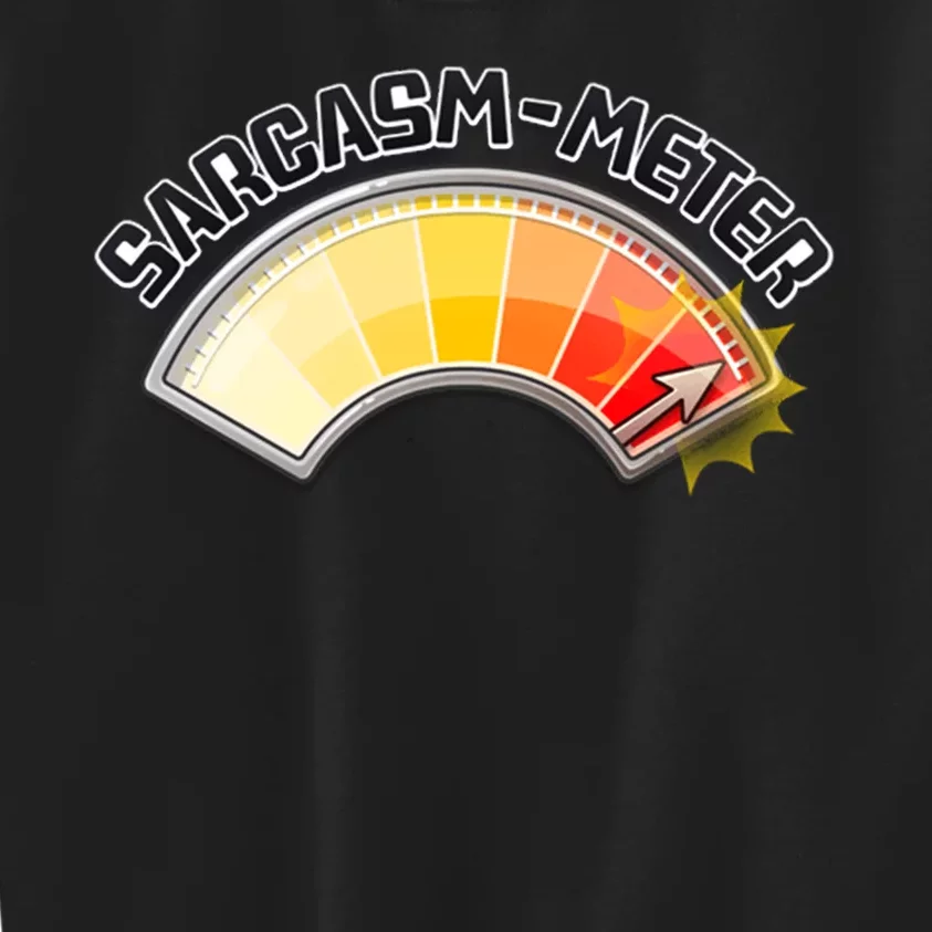 Sarcasm Meter High Kids Sweatshirt