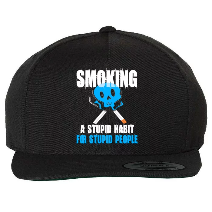 Smoking A Stupid Habit For Stupid People No Tobacco Wome Gift Wool Snapback Cap