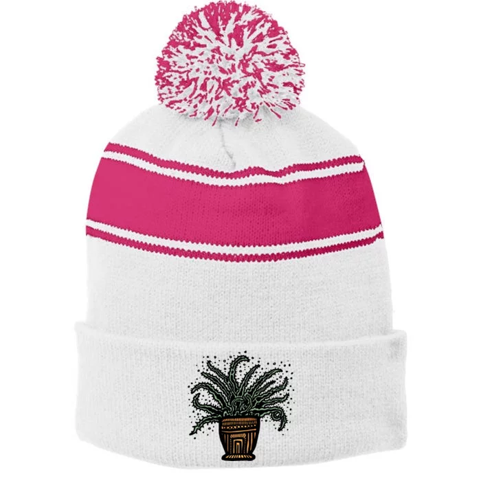 Spiky Aloe Stripe Pom Pom Beanie