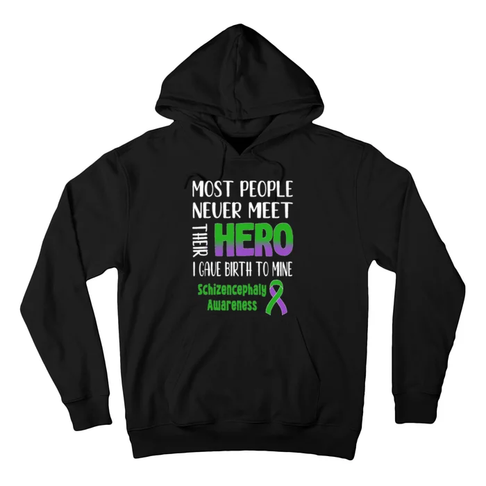 Schizencephaly Awareness Hoodie