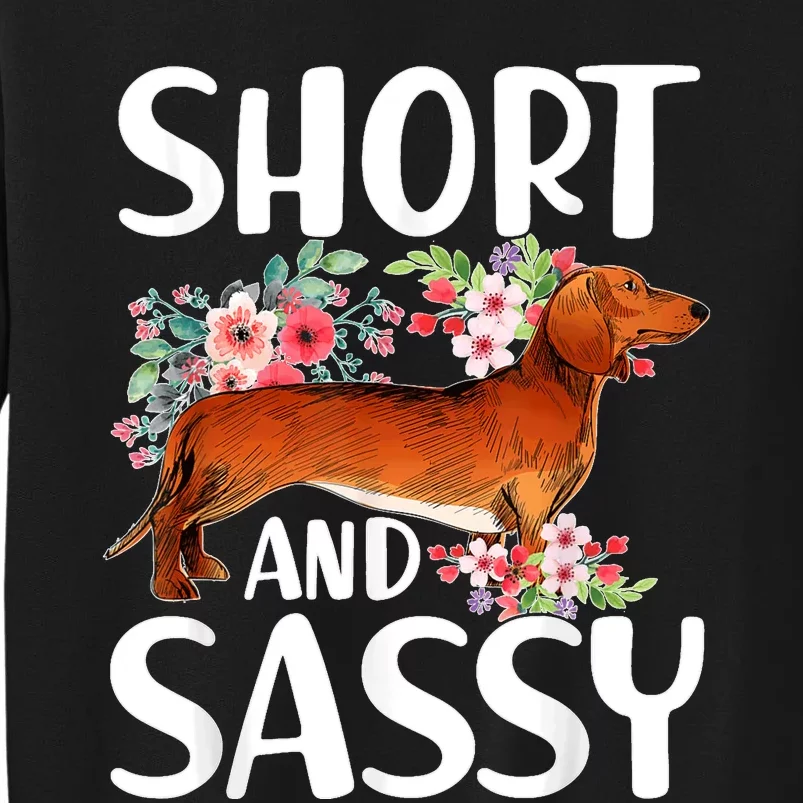 Short And Sassy Dachshund Dog Lover Wiener Tall Sweatshirt