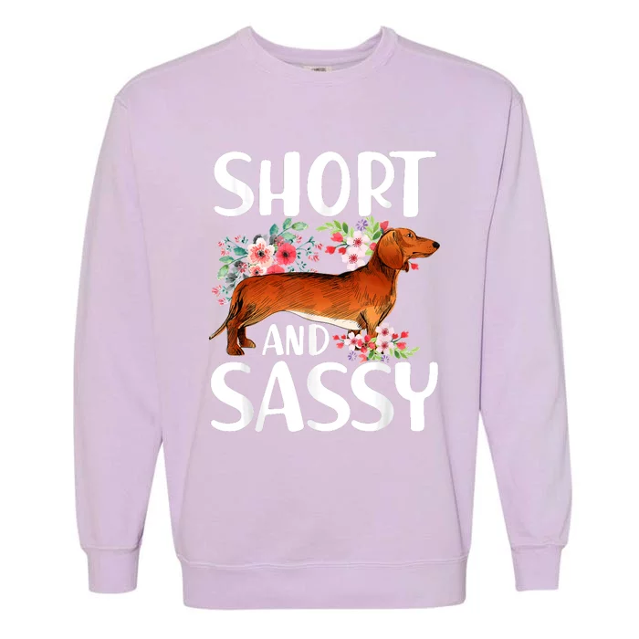 Short And Sassy Dachshund Dog Lover Wiener Garment-Dyed Sweatshirt