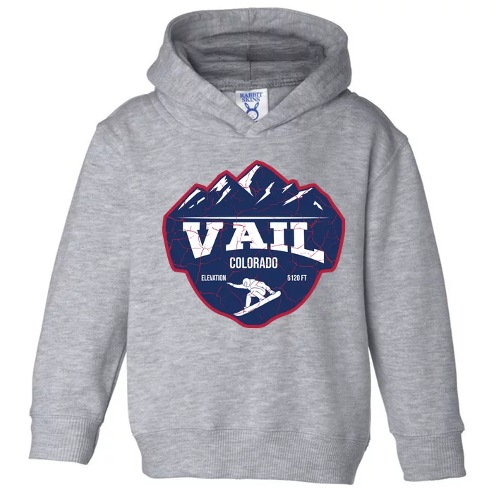 Ski At Vail Colorado Grunge Style Toddler Hoodie