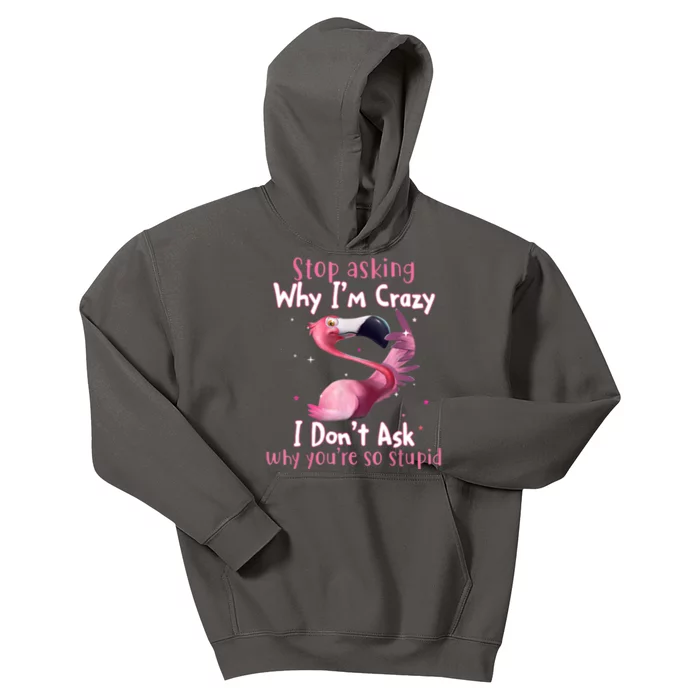 Stop Asking Why I'm Crazy I Don't Ask Why You're So Stupid Funny Kids Hoodie