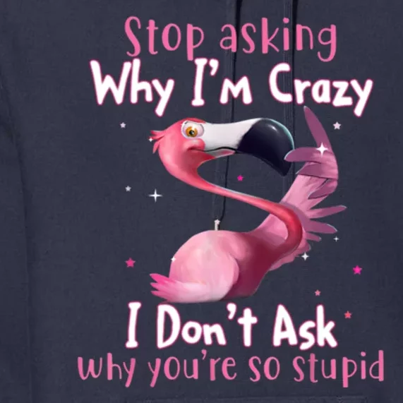 Stop Asking Why I'm Crazy I Don't Ask Why You're So Stupid Funny Premium Hoodie