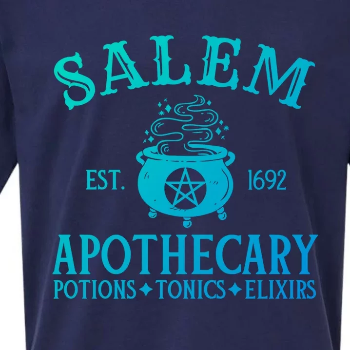 Salem Apothecary Witch Halloween Lazy Costume Gift Sueded Cloud Jersey T-Shirt