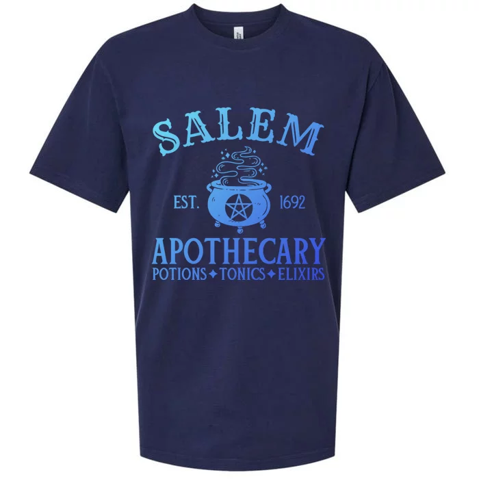 Salem Apothecary Witch Halloween Lazy Costume Gift Sueded Cloud Jersey T-Shirt