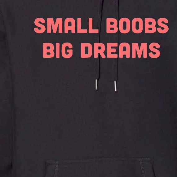 Small Boobs Big Dreams Funny Sarcastic Premium Hoodie