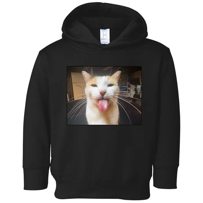 Silly Bleh Cat Meme Toddler Hoodie