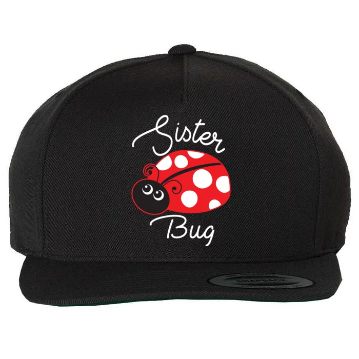 Sister Bug Cute Ladybug Wool Snapback Cap