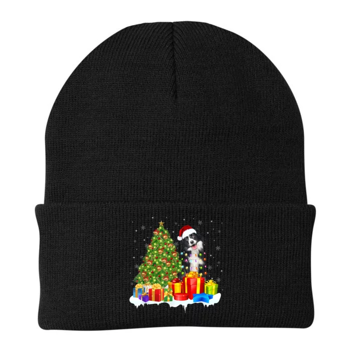 Santa Border Collie Dog Christmas Tree Light Funny Xmas Dog Knit Cap Winter Beanie