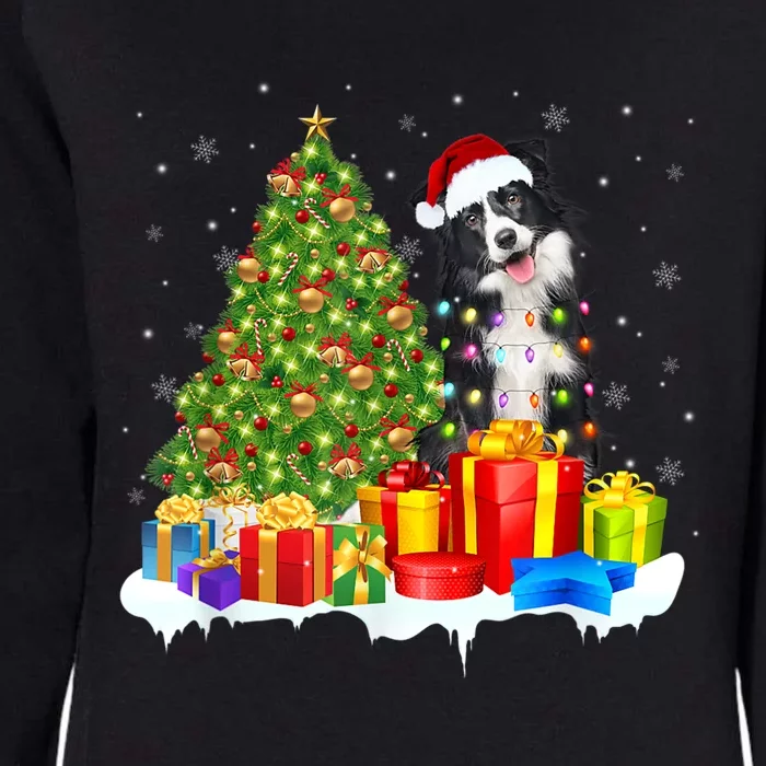 Santa Border Collie Dog Christmas Tree Light Funny Xmas Dog Womens California Wash Sweatshirt