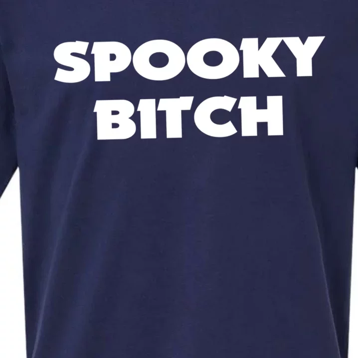 Spooky Bitch Gift Sueded Cloud Jersey T-Shirt