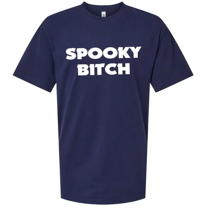 Spooky Bitch Gift Sueded Cloud Jersey T-Shirt