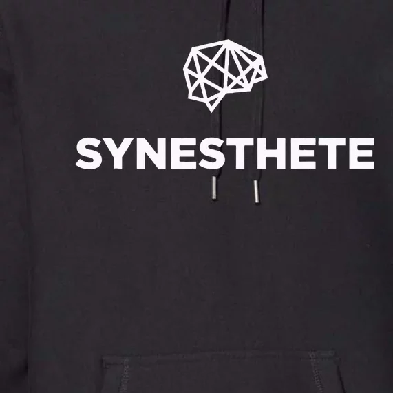 Synesthesia Brain Logo Premium Hoodie