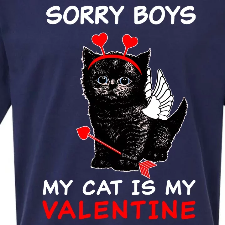 Sorry Boys My Cat Is My Valentine Sueded Cloud Jersey T-Shirt