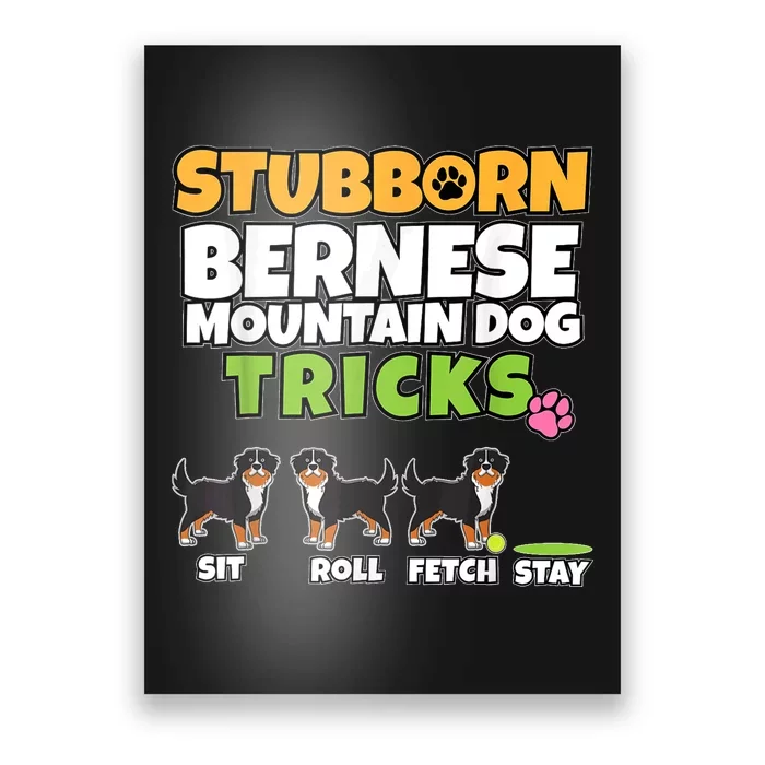 Stubborn Bernese Mountain Dog Tricks I Bernese Mountain Dog Poster