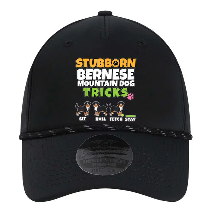 Stubborn Bernese Mountain Dog Tricks I Bernese Mountain Dog Performance The Dyno Cap