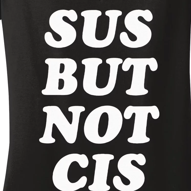 Sus But Not Cis Nonbinary GenderFluid Gender Nonconforming Women's V-Neck T-Shirt