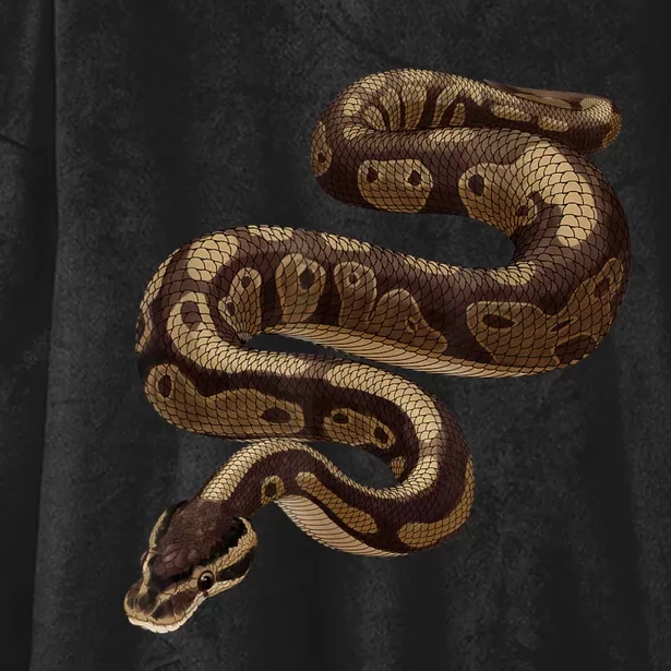 Snake Ball Python Hooded Wearable Blanket