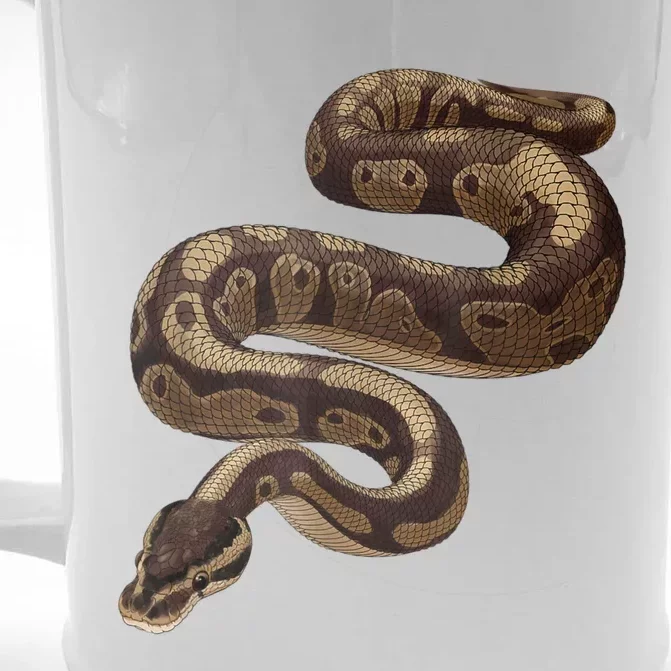 Snake Ball Python Front & Back Beer Stein