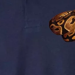 Snake Ball Python Tee Softstyle Adult Sport Polo