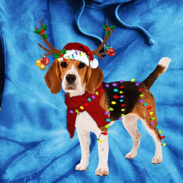 Santa Beagle Reindeer Light Christmas Gift Tie Dye Hoodie