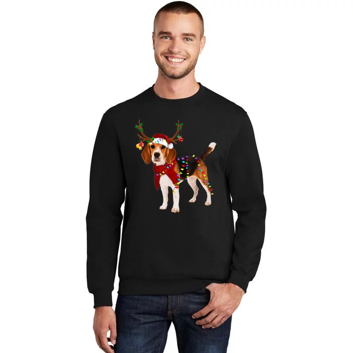 Santa Beagle Reindeer Light Christmas TShirt Sweatshirt