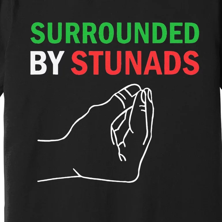 Surrounded By Stunads Funny Italian Sayings Premium T-Shirt