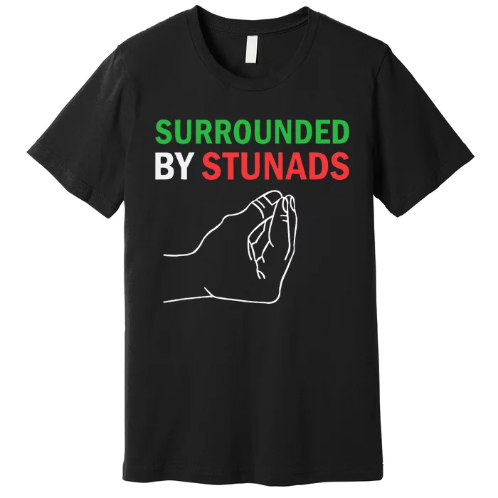 Surrounded By Stunads Funny Italian Sayings Premium T-Shirt