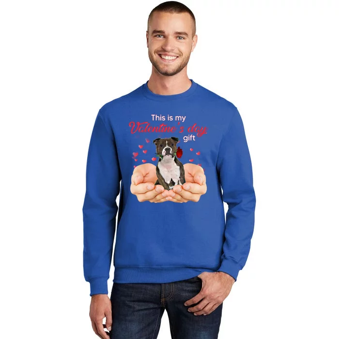 Staffordshire Bull Terrier This Is My Valentine's Day Pajama Gift Sweatshirt