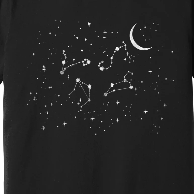 Stargazing Constellation Astronomy Lover Premium T-Shirt