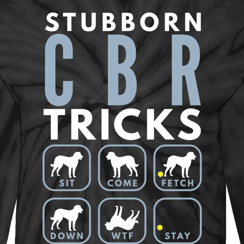 Stubborn Chesapeake Bay Retriever Tricks Dog Training Long Sleeve Tie-Dye Long Sleeve Shirt