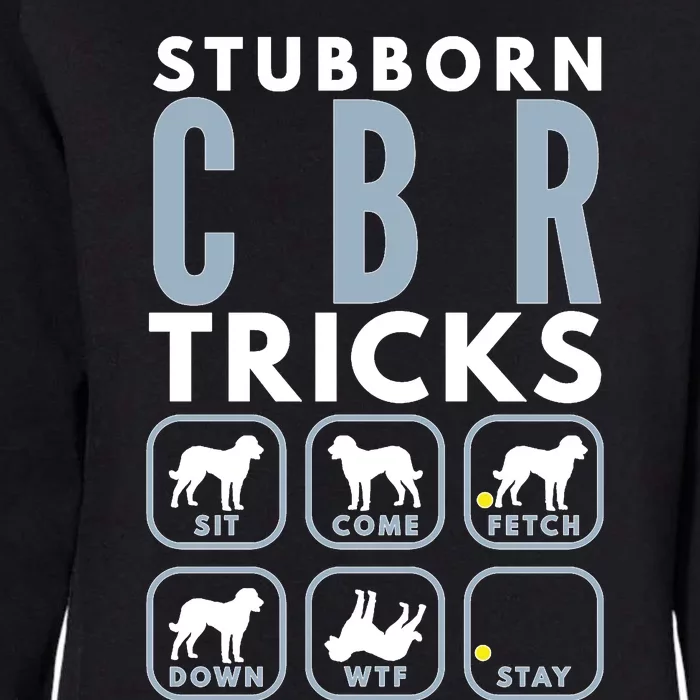 Stubborn Chesapeake Bay Retriever Tricks Dog Training Long Sleeve Womens California Wash Sweatshirt