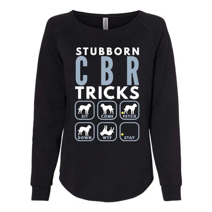 Stubborn Chesapeake Bay Retriever Tricks Dog Training Long Sleeve Womens California Wash Sweatshirt