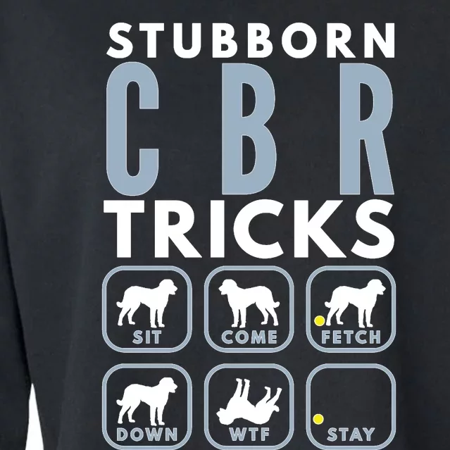 Stubborn Chesapeake Bay Retriever Tricks Dog Training Long Sleeve Cropped Pullover Crew