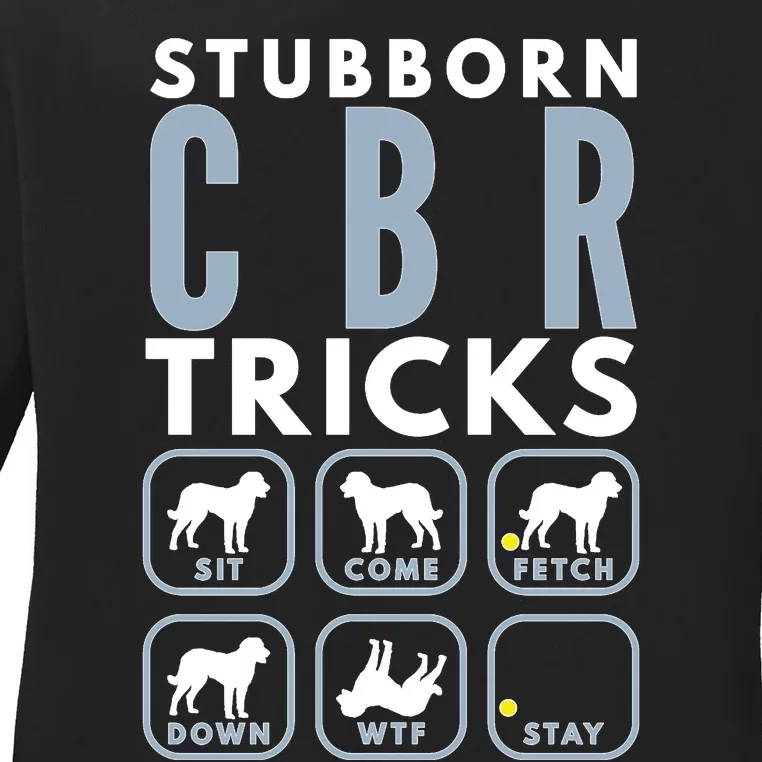 Stubborn Chesapeake Bay Retriever Tricks Dog Training Long Sleeve Ladies Long Sleeve Shirt