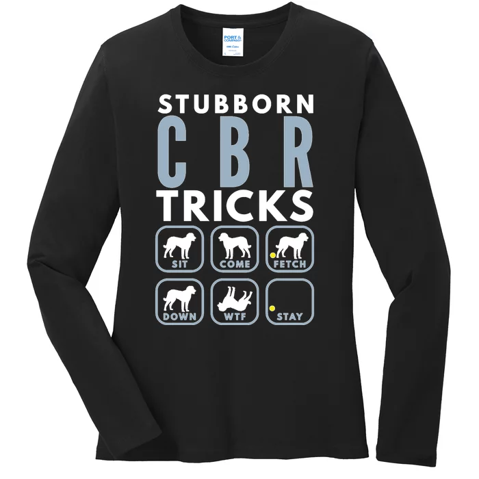 Stubborn Chesapeake Bay Retriever Tricks Dog Training Long Sleeve Ladies Long Sleeve Shirt