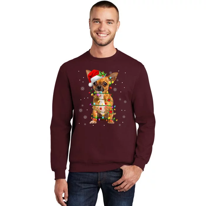 Santa Chihuahua Christmas Lights Xmas Dog Lover Tall Sweatshirt