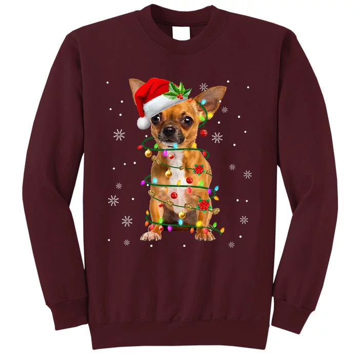 Santa Chihuahua Christmas Lights Xmas Dog Lover Tall Sweatshirt