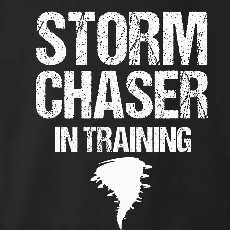 Storm Chaser Chasing Weather Hurricane Tornado Twister Gift Toddler Hoodie